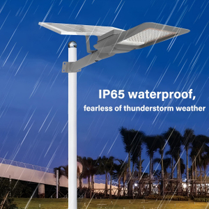 Outdoor Solar Street Lights SL-020