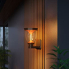 Solar Garden Lights SL-061