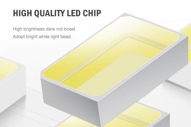 LED CHIP