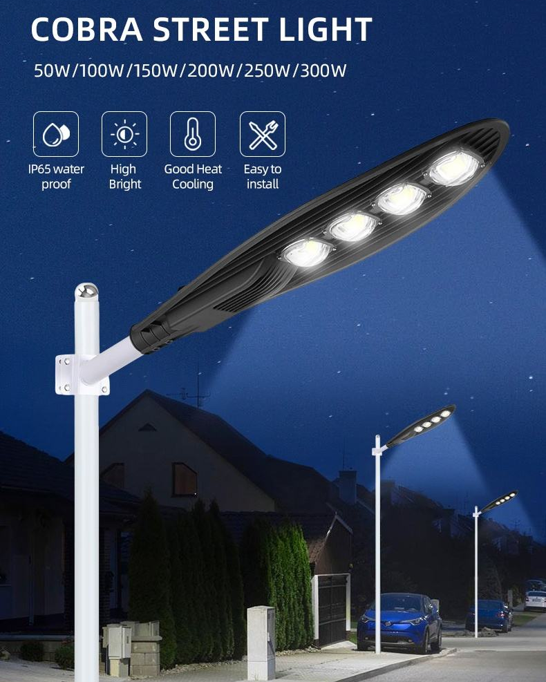 professional LED street light design