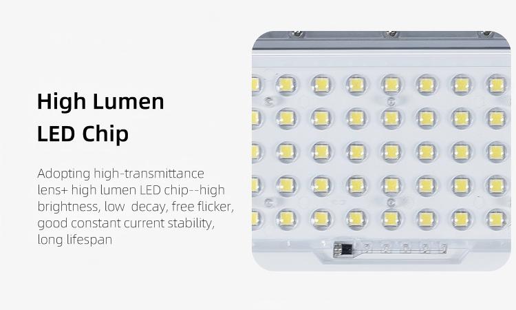 LED CHIP