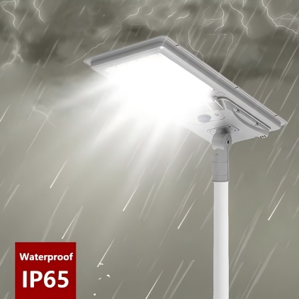 Solar Street Lights SL-021 02