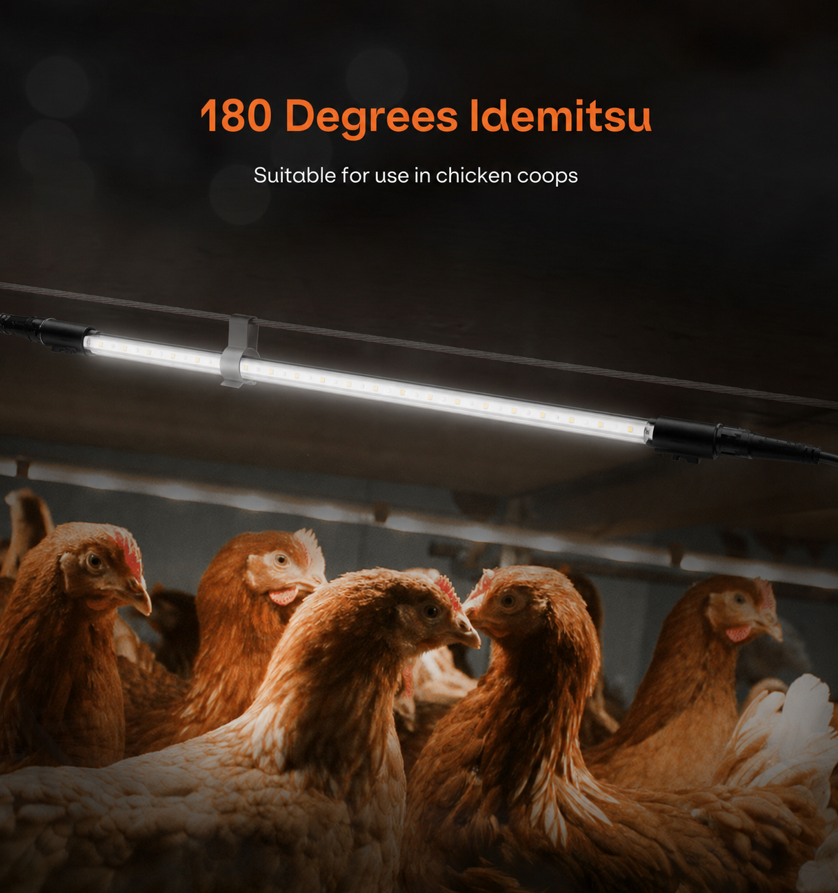 9f36b091-c251-4632-afec-44785fe571d3.png