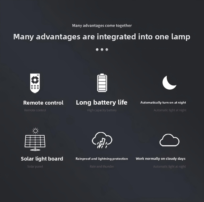 Solar Street Lights SL-015 002