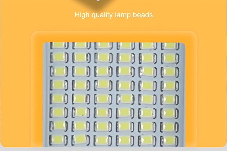 LED CHIP