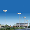 Solar Garden Light for Commercial Outdoor Lawn, Yard and Pathway Lighting SL-070