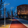 Decorative Solar LED Garden Lamp for Parks And Communities SL-081
