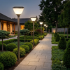 Solar & AC Hybrid LED Garden Light Manufacturer for Wholesale & Projects SL-112