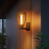 Solar Garden Lights SL-062