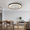 LED Bedroom Ceiling Fan Light for Modern Indoor Lighting SN-019