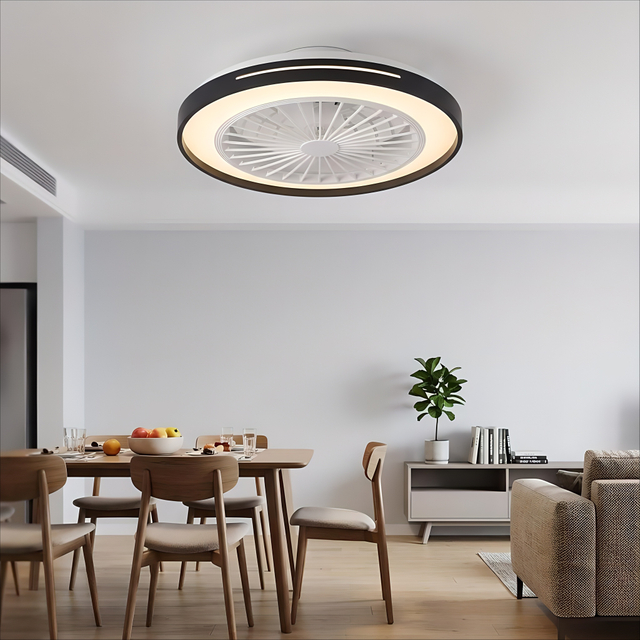 LED Bedroom Ceiling Fan Light for Modern Indoor Lighting SN-019