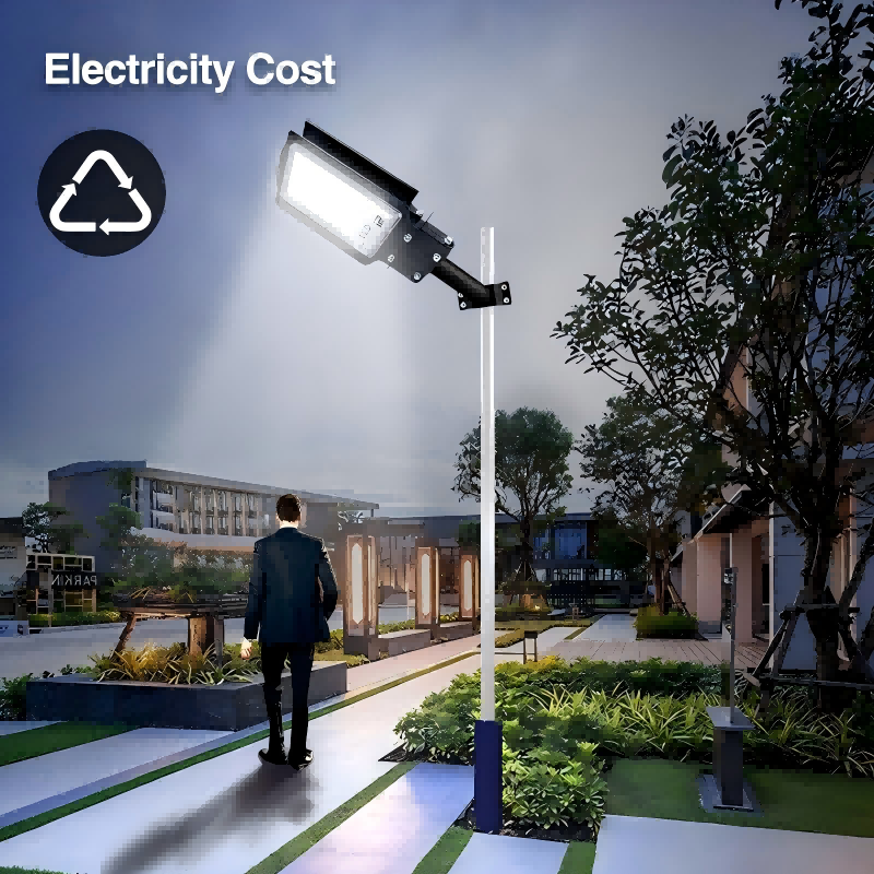 Solar Powered Street Lights with Camera